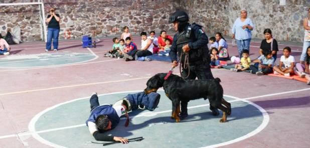 world-news